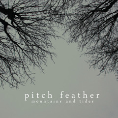 Pitch Feather