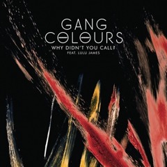 Gang Colours - Why Didn't You Call  (Kelpe Remix) - Out Now