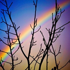 I wish - with mr Monsov (demo)