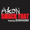 Akon feat. Eminem - Smack That