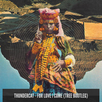 Thundercat - For Love I Come (Tree Bootleg)