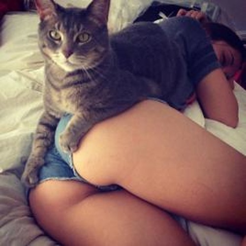 ♫ DJ Elon Matana - Hits of September 2013 Vol 8 ♫ *HD 1080p*