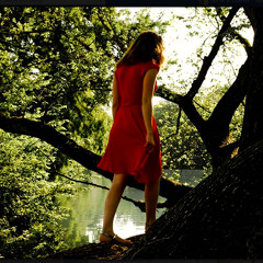 I Will Follow You Into the Dark