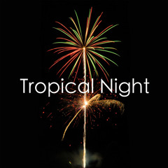 카멜(Camel) - Tropical Night