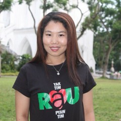 Miley Cyrus Party In Usa