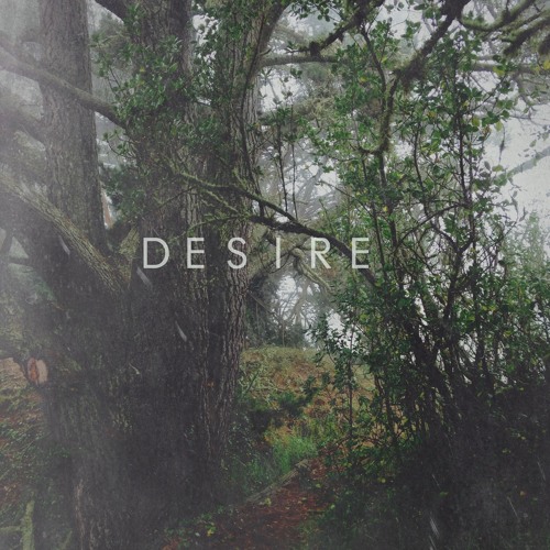 Running In The Fog - Desire