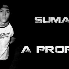 Sumactus - A Proposta