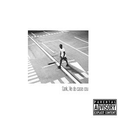 Sanik - Vie De Casse Cou EP - 05 Destin(WhatIWanted) (Prod By Hibou Blaster)