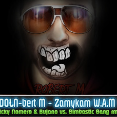 Robert M- Zamykam wam PENERY (Nicky Nomero & Bujano vs. Gimbastic Gang DEMO rmx)"