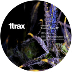 Kameleon - Common Threat (clip)