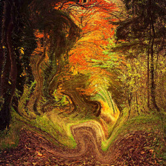 Fall