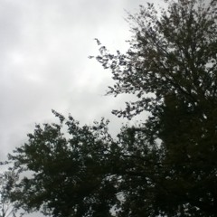 Chasing Cars,Snow Patrol Bass and Vocal Cover