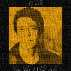 Walk On The Wild Side. Cover & Toad's Nest Tribute to Lou Reed (please read info)