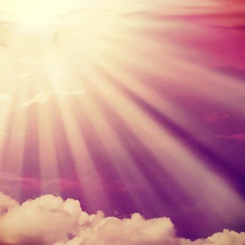 Everything Shines