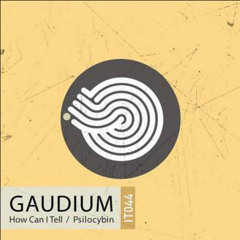 Gaudium - Psilocybin
