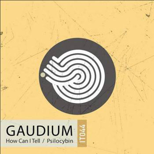 Gaudium - Psilocybin