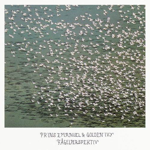 Prins Emanuel & Golden Ivy - Fågelperspektiv