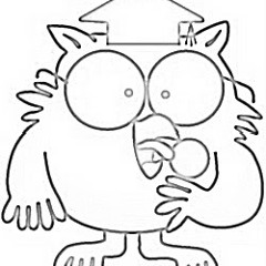 Mr. Owl's Night Out