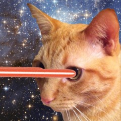 Est-Ce Que Ton Chat Parle Français?