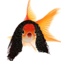 Sunday syrup in the afternoon