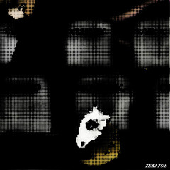 シオンタウン (TEKI TOE remix)