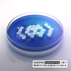 D - Block & S - Te - Fan Ft. Audiofreq - Drumz!