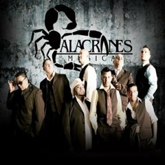 ALACRANES MUSICAL Te Busque