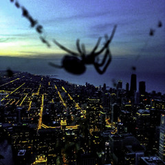 시카고 다시가고싶다