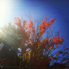 Something Unintentional