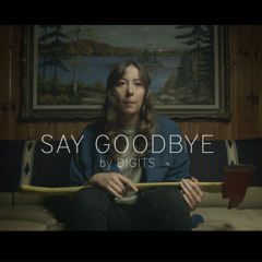 Say Goodbye