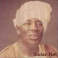 عبد العزيز محمد داؤود