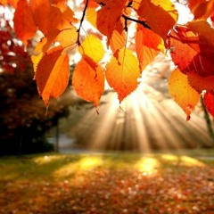 Djordje Sehovic - Fall(ing)