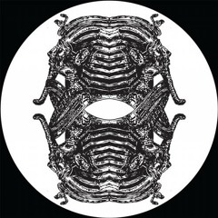 Multiverse (Markus Suckut Remix)