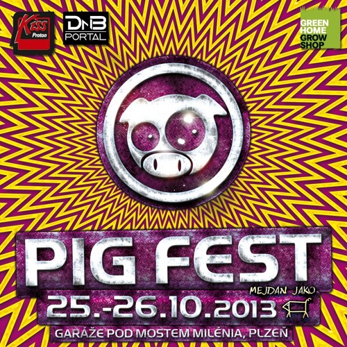 Golpe & Peterson @ PIGFEST - Pilsen - 26.10.2013