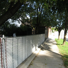 An (Overly) Dramatic Scene Involving a Small and Harmless Dog