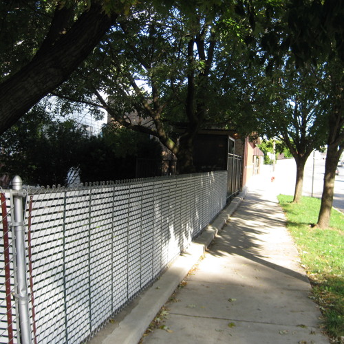 An (Overly) Dramatic Scene Involving a Small and Harmless Dog