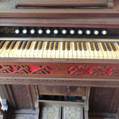 Messing with the Chicken