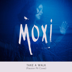 Take A Walk (Passion Pit Cover)