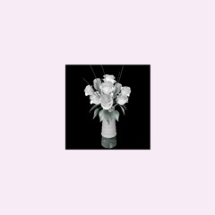 Sexthcandfancydub