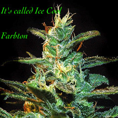 It's Called Ice Cool