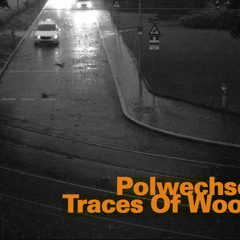 Adapt Oppose Excerpt