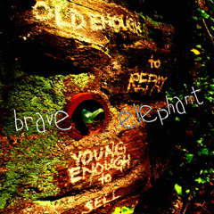 brave elephant - East Coast Blues