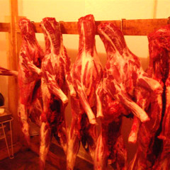 No Sleep...No Tears (ft. Zpoorman And Mayhem)