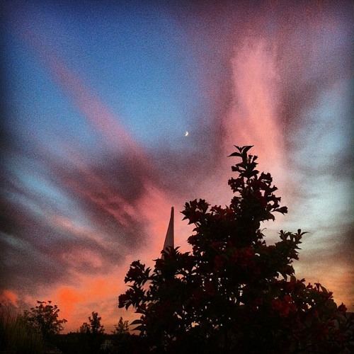 Paco / Risikogruppe - Before Nightfall