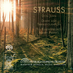 Pittsburgh Symphony Orchestra — Strauss: Till Eulenspiegel's Merry Pranks, Op. 28 (Excerpt)