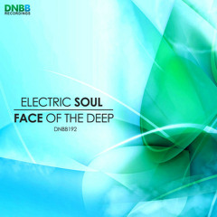 Electric Soul - Friday's Child - DNBB192