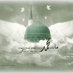 المنشد الشيخ صهيب الراوي