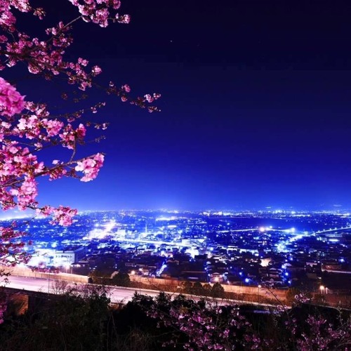 paraoka - Manima ni