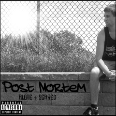 Post Mortem - Is Love Really Real? (feat. Christlo)