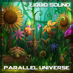 Liquid Sound - Parallel Universe (138) (Preview)
